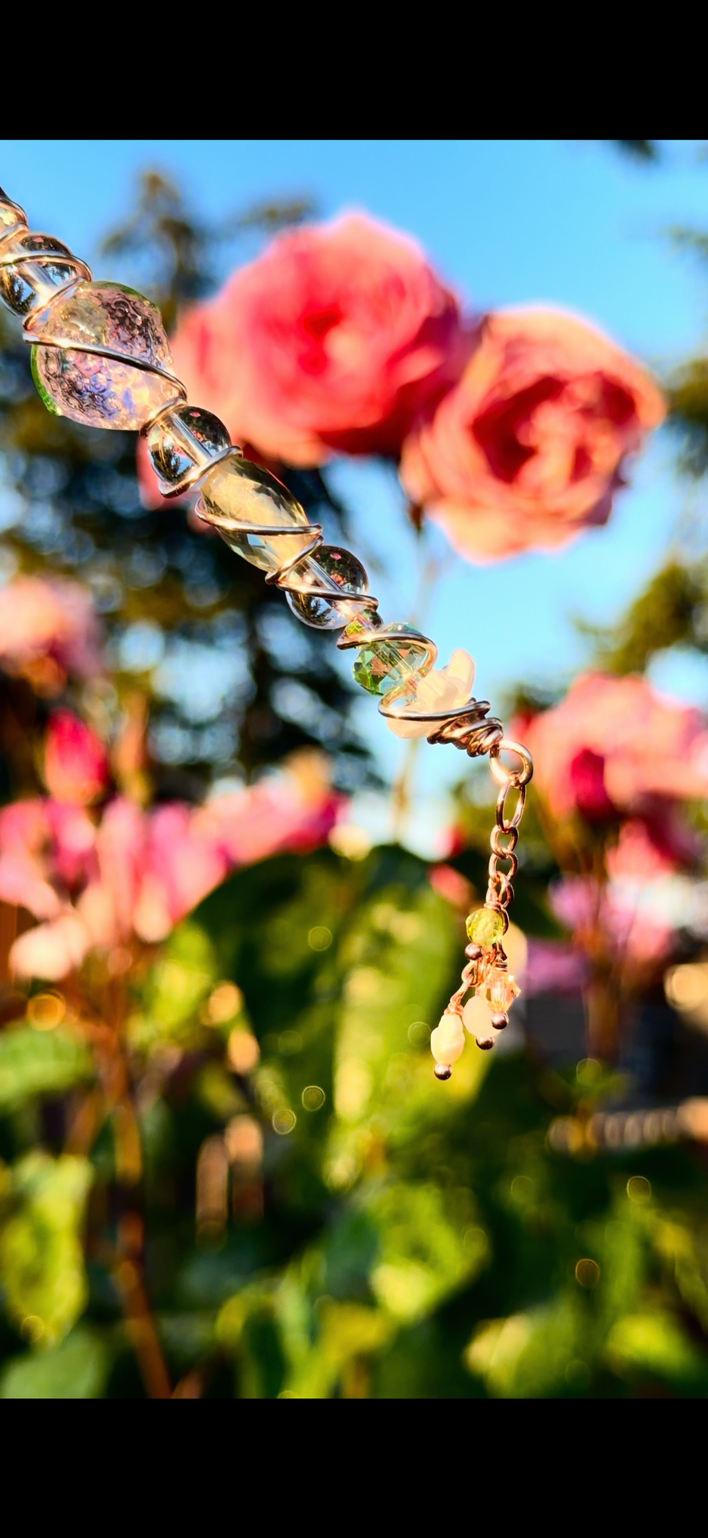Blossom Dazzle