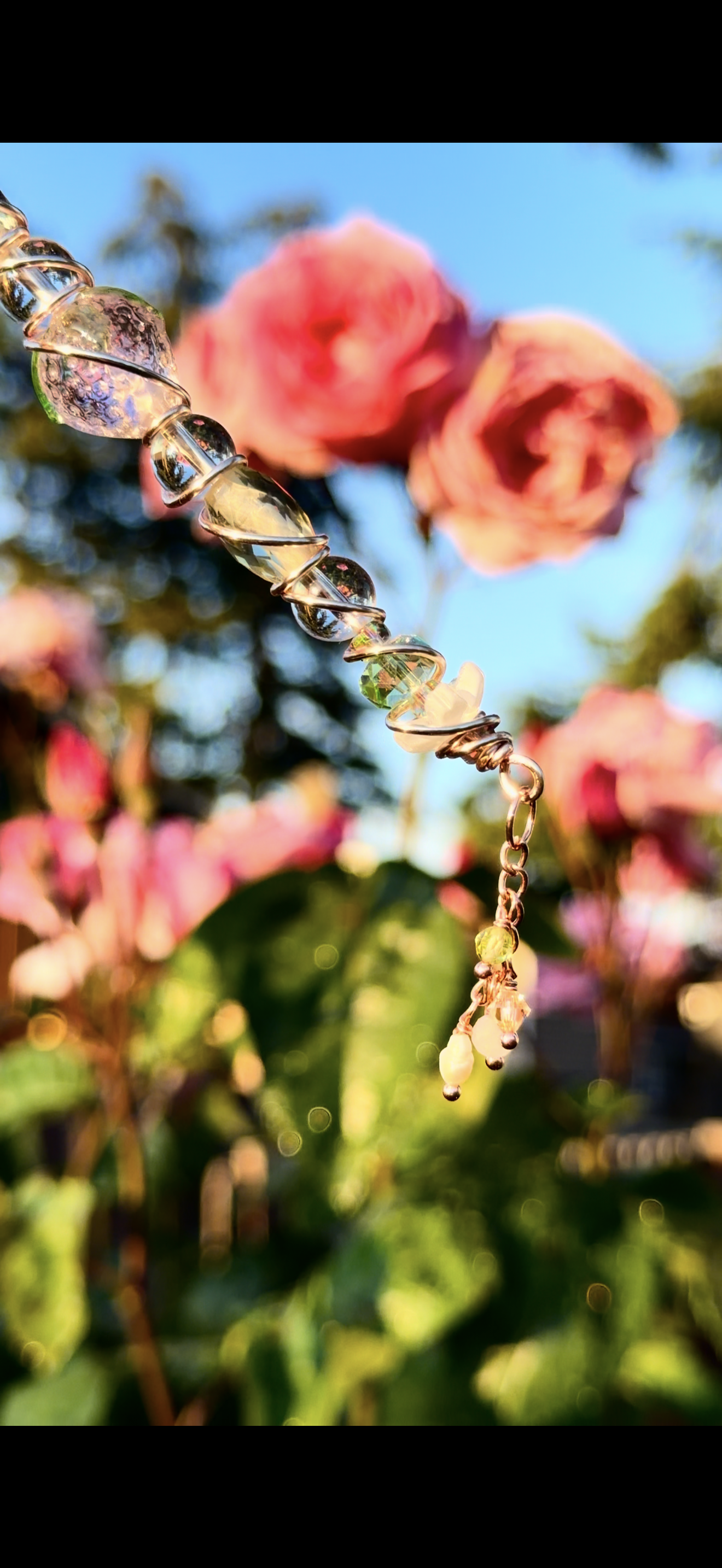 Blossom Dazzle