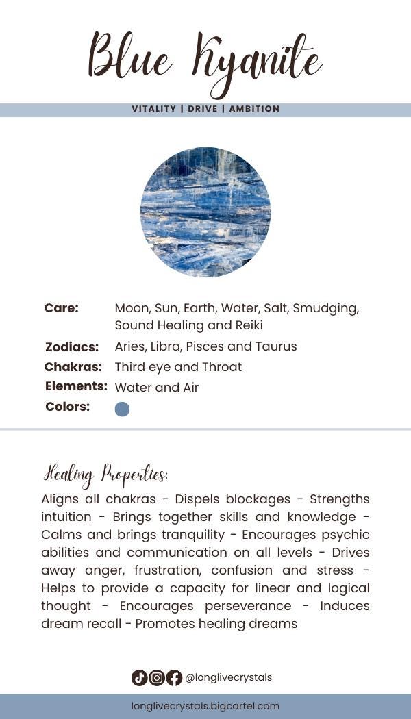 Crystal Smoke Clip, Ceramic Ammonite, Shell, Prehnite, Blue Kyanite,  Silver wire, smoking accessory, gifts for smokers, wire wrapped, ocean