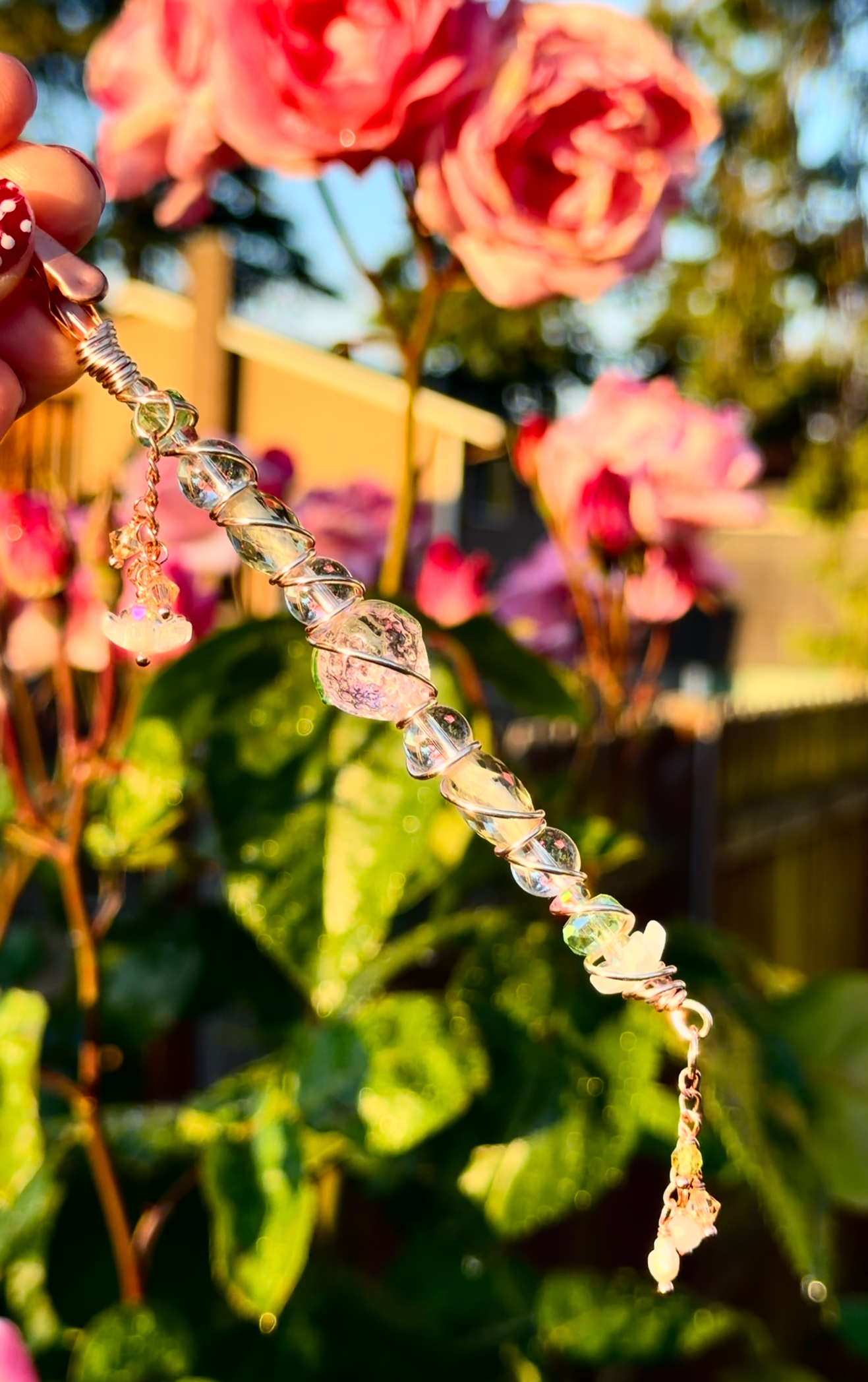 Blossom Dazzle
