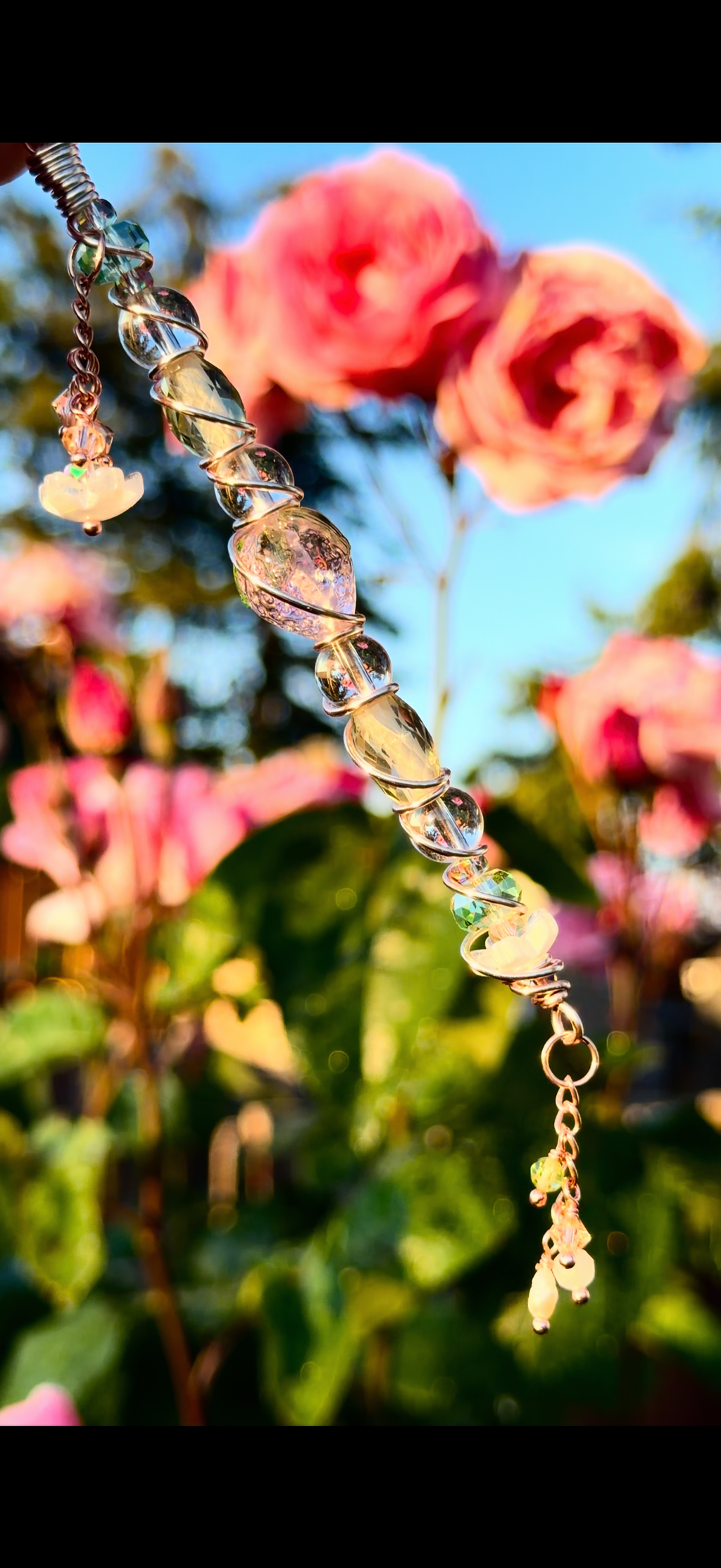 Blossom Dazzle