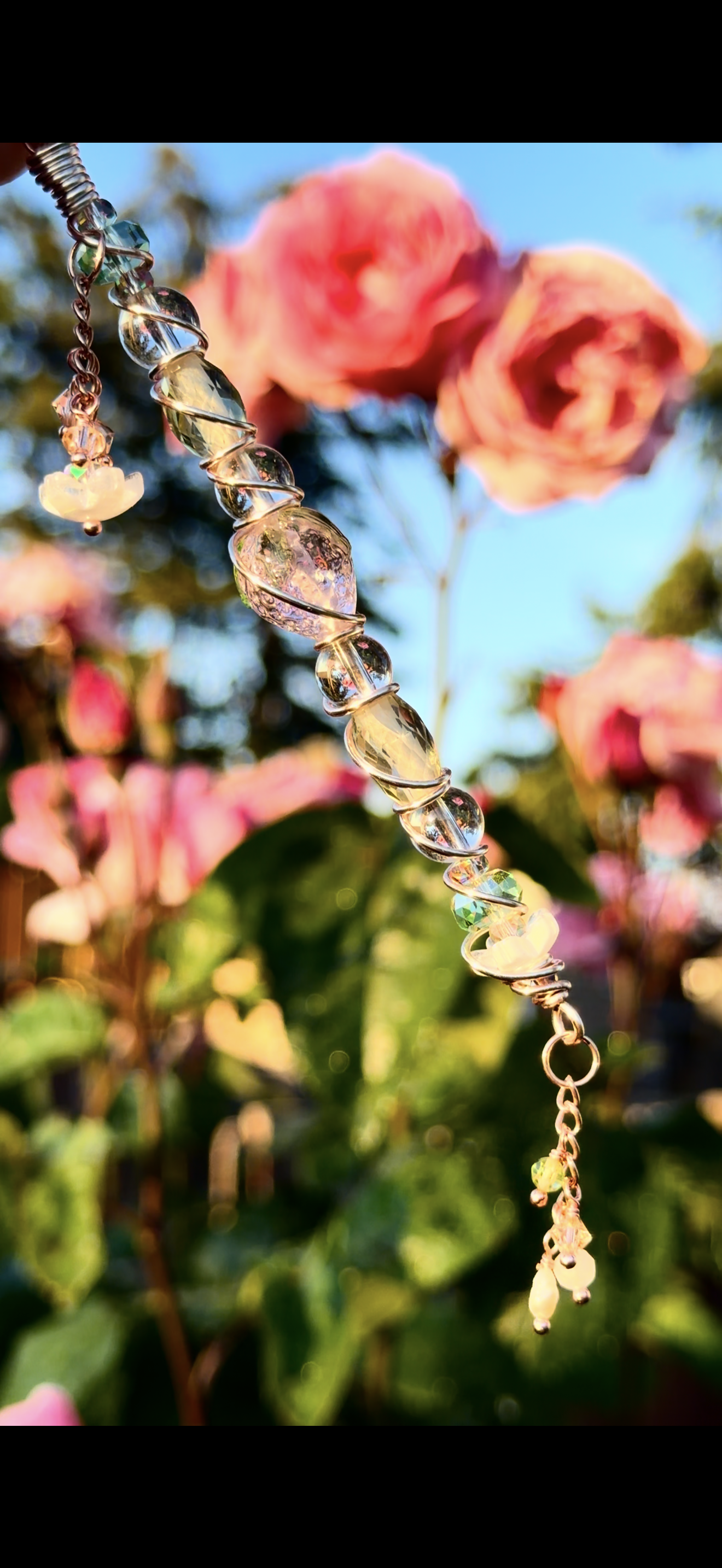 Blossom Dazzle
