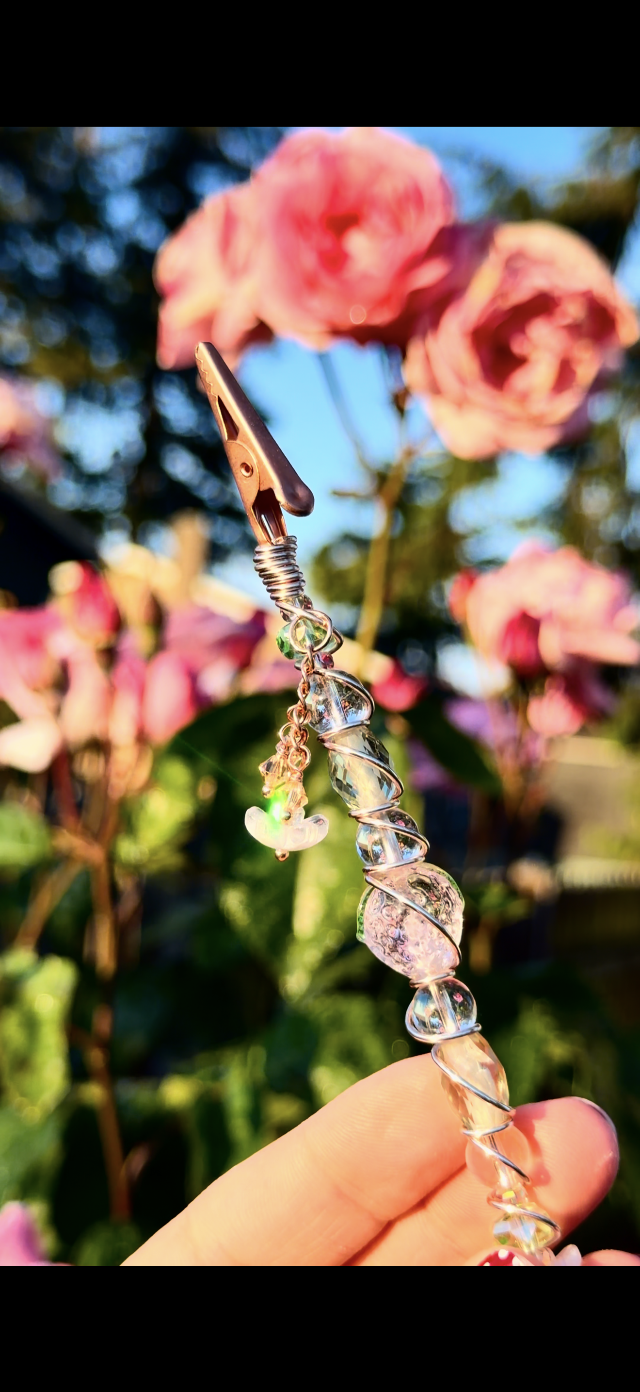 Blossom Dazzle